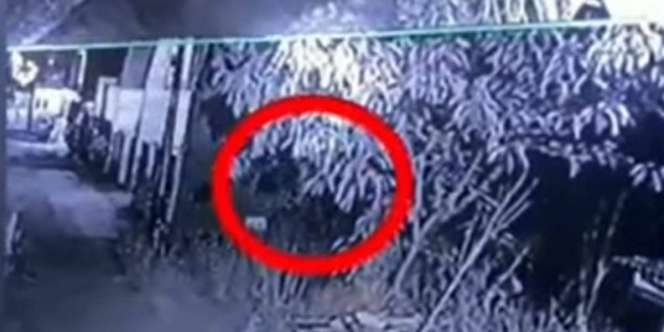 Sosok Putih Melompat Bolak Balik Bikin Penasaran