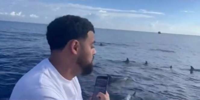 Viral Video Qori Baca Surah Al Ahzab di Tengah Laut, Lumba Lumba Bermunculan