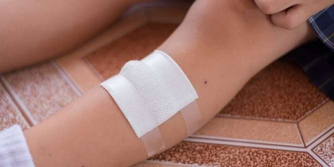 Rabies Sangat Mematikan Bagi Anak, Sebabkan Halusinasi Parah