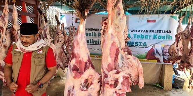 Hukum Kurban untuk Orang yang Sudah Meninggal, Boleh atau Tidak?