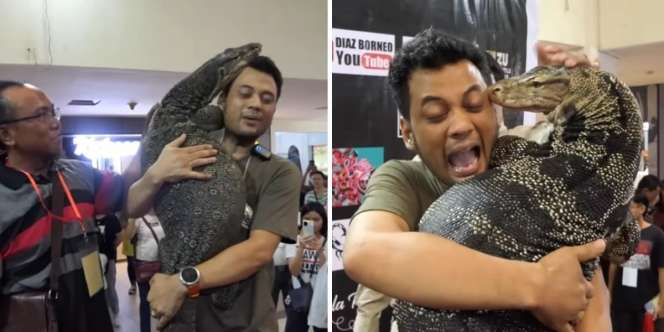 Panji Petualang Gendong Biawak Super Gede Rasa Komodo, Momen Tak Disangka Terjadi Saat Lidahnya Menjulur
