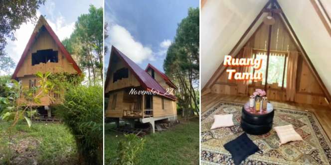 Viral! Bangun Rumah Panggung Tiga Lantai dari Kayu di Tengah Hutan, Luarnya Sederhana Dalamnya Unik dan Kece Habis