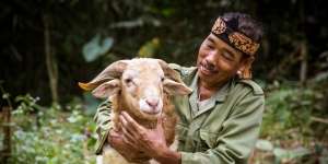 Memahami Hukum Menjual Daging Kurban Menurut Madzhab Syafi’i dan Hanafi