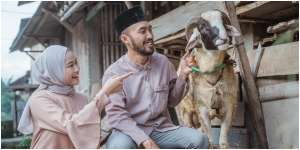 6 Jenis Kambing Kurban yang Banyak Diminati, Ada Apa Saja?