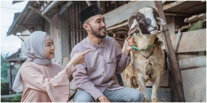 6 Jenis Kambing Kurban yang Banyak Diminati, Ada Apa Saja?