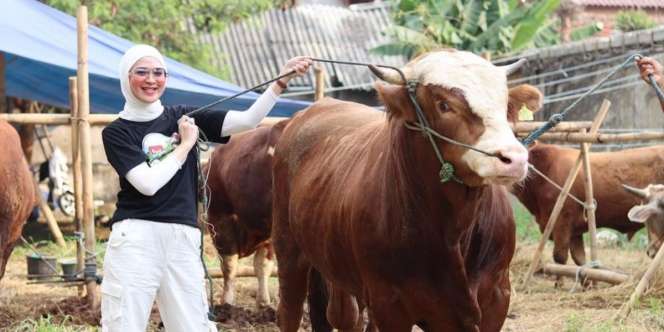 Deretan Artis yang Mendadak Banting Setir Jualan Hewan Kurban Jelang Idul Adha