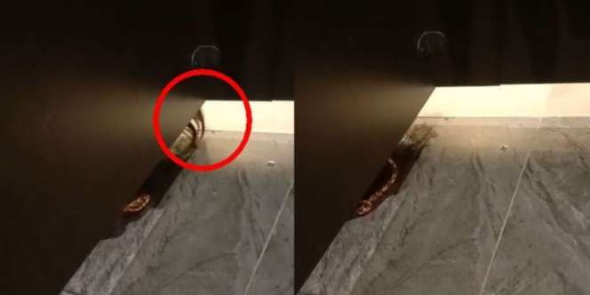 Dengar Suara Anak Kecil Saat Masuk Toilet Umum, Wanita Ini Syok Ada Kepala Muncul dari Bawah, Makin Kaget Ketika Cek Bilik Sebelahnya