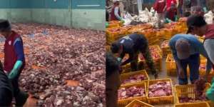Viral Warga Dusun di Jawa Tengah Berkurban 72 Sapi dan 248 Kambing, Tumpukan Daging Menghampar Menutupi Lantai Gedung