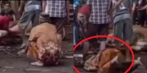 Viral Kakek Tiba-tiba Ambruk dan Meninggal Usai Lihat Hewan Kurbannya Disembelih, 'Definisi Sapinya Jadi Tunggangan ke Surga'