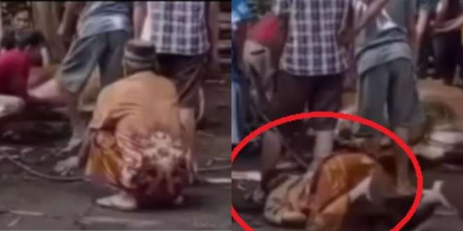 Viral Kakek Tiba-tiba Ambruk dan Meninggal Usai Lihat Hewan Kurbannya Disembelih, 'Definisi Sapinya Jadi Tunggangan ke Surga'