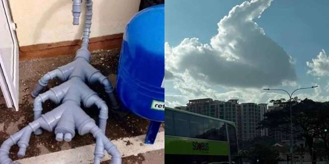Deretan Benda Nyeleneh Ini Ternyata Mirip Banget, Penampakannya Bisa Menipu Mata!