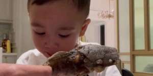 Rayyanza Makan Lele Sangat Lahap, Gizinya Tak Kalah dengan Salmon