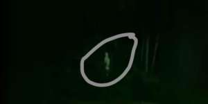Geger Teror Pocong di Rembang, Berkeliaran di Kebun Warga, Setelah Dicek Faktanya...