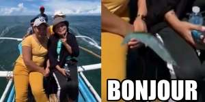 Video Detik-Detik HP Pelancong Wanita Dijambret Ikan, Langsung Raib di Tengah Laut