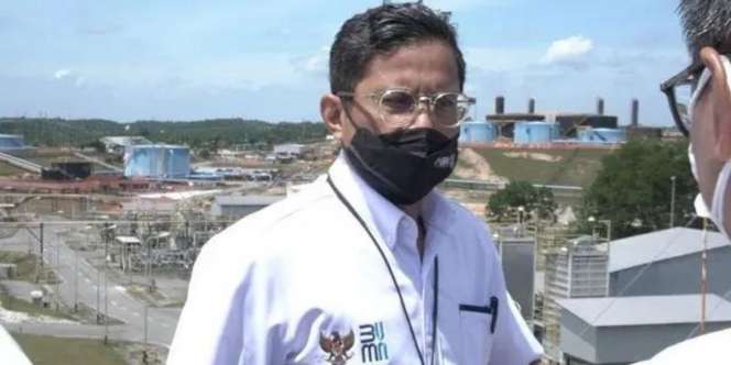 Karier Moncer Wakil Menlu Baru Pahala Mansury yang Punya Surat Berharga Rp180 M