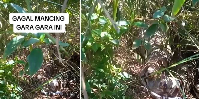 Sudah Membayangkan Dapat Ikan Banyak, Pemancing Urungkan Niat Gegara Lihat Sosok Ini
