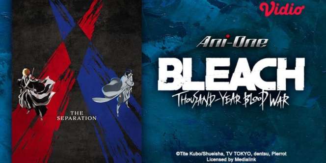 Tonton Keseruan Anime Bleach Thousand Year Blook War Part 2 di Vidio