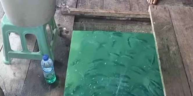 Enaknya Rumah di Atas Laut, Lantai Dibuka Tinggal Ambil Ikan