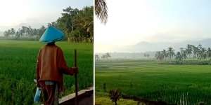 Bikin Takjub! Suasana dan Pemandangan Desa di Banjarnegara Ini Disebut-sebut Mirip dengan Lukisan