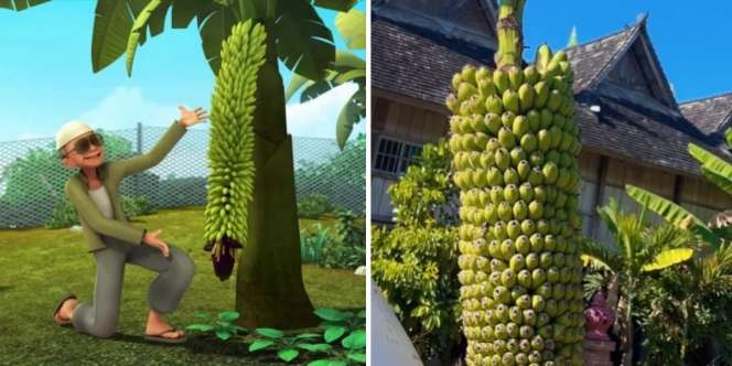 Selama Ini Dikira Cuma Khayalan Upin dan Ipin, Pohon Pisang Seribu Ternyata Ada di Dunia Nyata