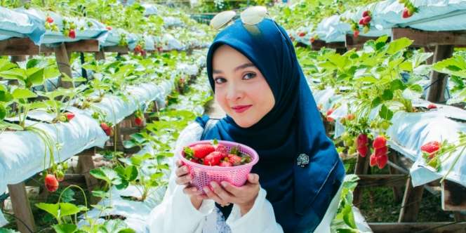 Formula Aman Rumahan untuk Bersihkan Buah dari Pestisida 