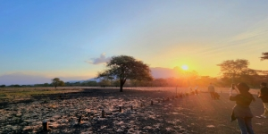 2 Spot Foto Favorit yang Memikat Hati Ketika Traveling di Taman Nasional Baluran
