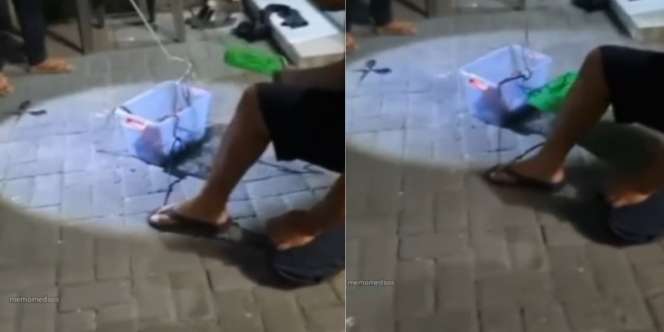 Ngeri! Istri Dosen Ini Menangis Histeris Usai Terima Paket Berisi Belasan Ular