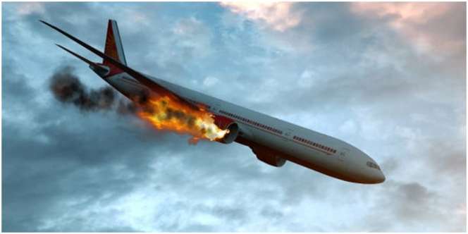Paling Ditakuti Pilot, Hewan Sekecil Ini Bisa Mengakibatkan Kecelakaan Fatal Pesawat