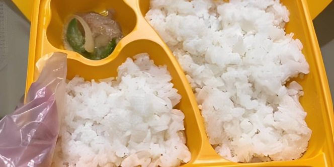 Tiktoker Jualan Nasi Bento Rp75 Ribu Isinya Hanya Timun dan Daging Slice Satu Potong