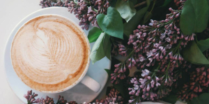 Kafe Ini Merilis Kopi Rasa Jamur, Keunikannya Bikin Penasaran