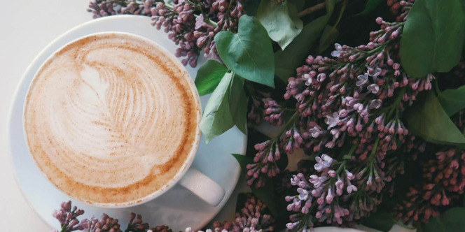 Kafe Ini Merilis Kopi Rasa Jamur, Keunikannya Bikin Penasaran