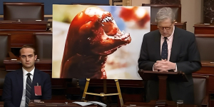 Viral Senator AS Jelaskan Jika Makan Udang Asal Indonesia yang Terpapar Radioaktif Bisa `Berubah` Jadi Alien