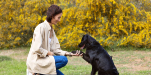 Pria Ini Dirikan Pusat Terapi dengan Anjing, Bantu Pasien Autisme hingga Alzheimer
