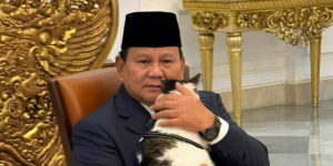 Detik-detik Bobby Kertanegara Diserang Kucing Gendut, Suasana Jadi Tegang