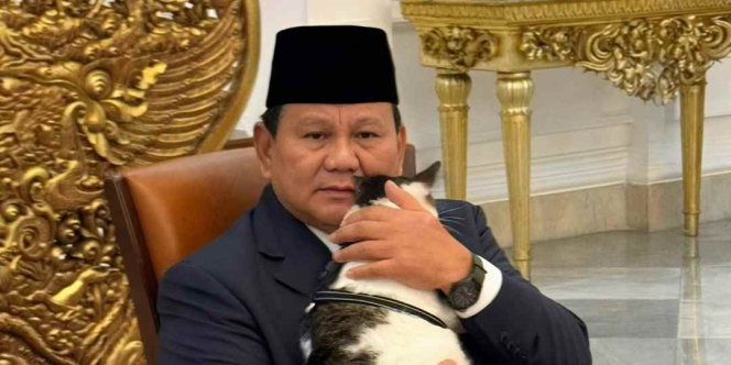 Detik-detik Bobby Kertanegara Diserang Kucing Gendut, Suasana Jadi Tegang
