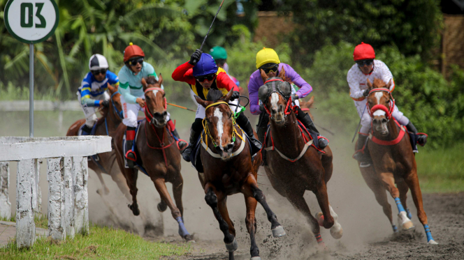 Penutup Megah “The Race of Rising Stars”: Kilas Balik IHR Piala Raja HB X 2025