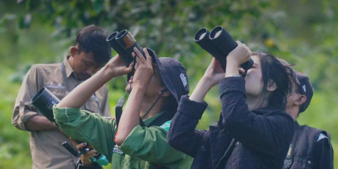 Burung Indonesia, Komunitas yang Setia Lestarikan Burung Liar di Tanah Air