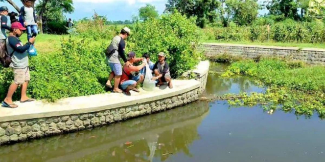 Komunitas Blitar Micro Fishing Lestarikan Sungai dengan Tebar Benih Ikan Lokal