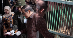 Penampakan Terbaru Harimau Kurus di Kebun Binatang Ragunan Setelah Ditinjau Gubernur DKI