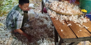 Kisah Raihan Jouzu, Siswa SMP Ciptakan Bikin Spidol dari Kulit Bawang Putih