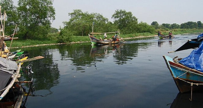 Penelitian BRIN Ungkap Kondisi Air di Jakarta Makin Memburuk, Sungai Muara Angke Tercemar Obat Diabetes Metformin