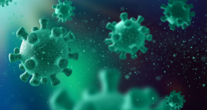 Lima Anak Meninggal Akibat Flu Babi di Riau, Kemenkes Soroti Buruknya Sanitasi dan Gizi di Pedalaman