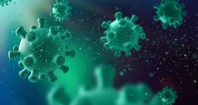 Lima Anak Meninggal Akibat Flu Babi di Riau, Kemenkes Soroti Buruknya Sanitasi dan Gizi di Pedalaman