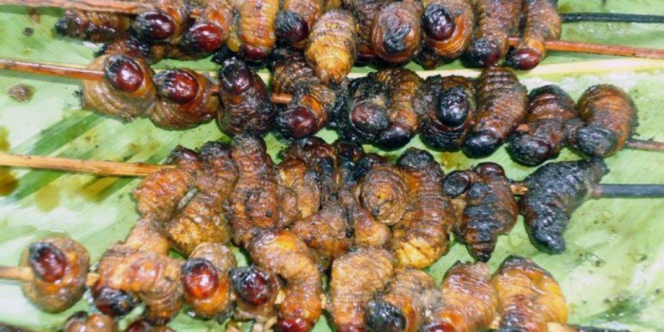 Tak Se-Ekstrem Dibayangkan, Sate Ulat Sagu dari Papua Ini Lebih Enak dari Penampakannya