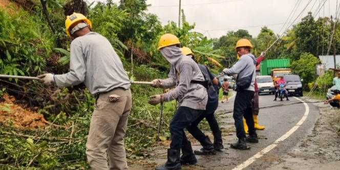 PLN Percepat Pemulihan Jaringan Listrik di 3 Wilayah Bencana