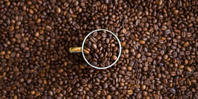 Budaya Ngopi di Indonesia Serta Sejarah Masuk Minuman Hitam Nan Nikmat Ini