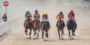 SARGA.CO Perluas Gaung Pacuan Kuda Indonesia Lewat Indonesia’s Horse Racing