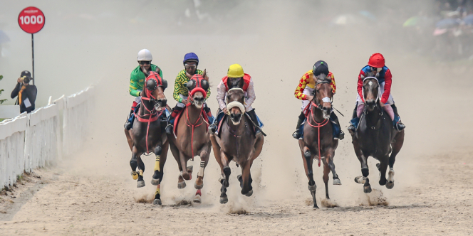 SARGA.CO Perluas Gaung Pacuan Kuda Indonesia Lewat Indonesia’s Horse Racing