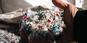 5 Cara Membantu Tubuh Mengeluarkan Mikroplastik, Bisa Dimulai dari Konsumsi Makanan Bergizi