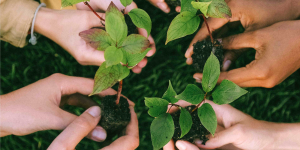 Sustainability dan Hidup Kita, Pengertian, Prinsip, dan Penerapannya